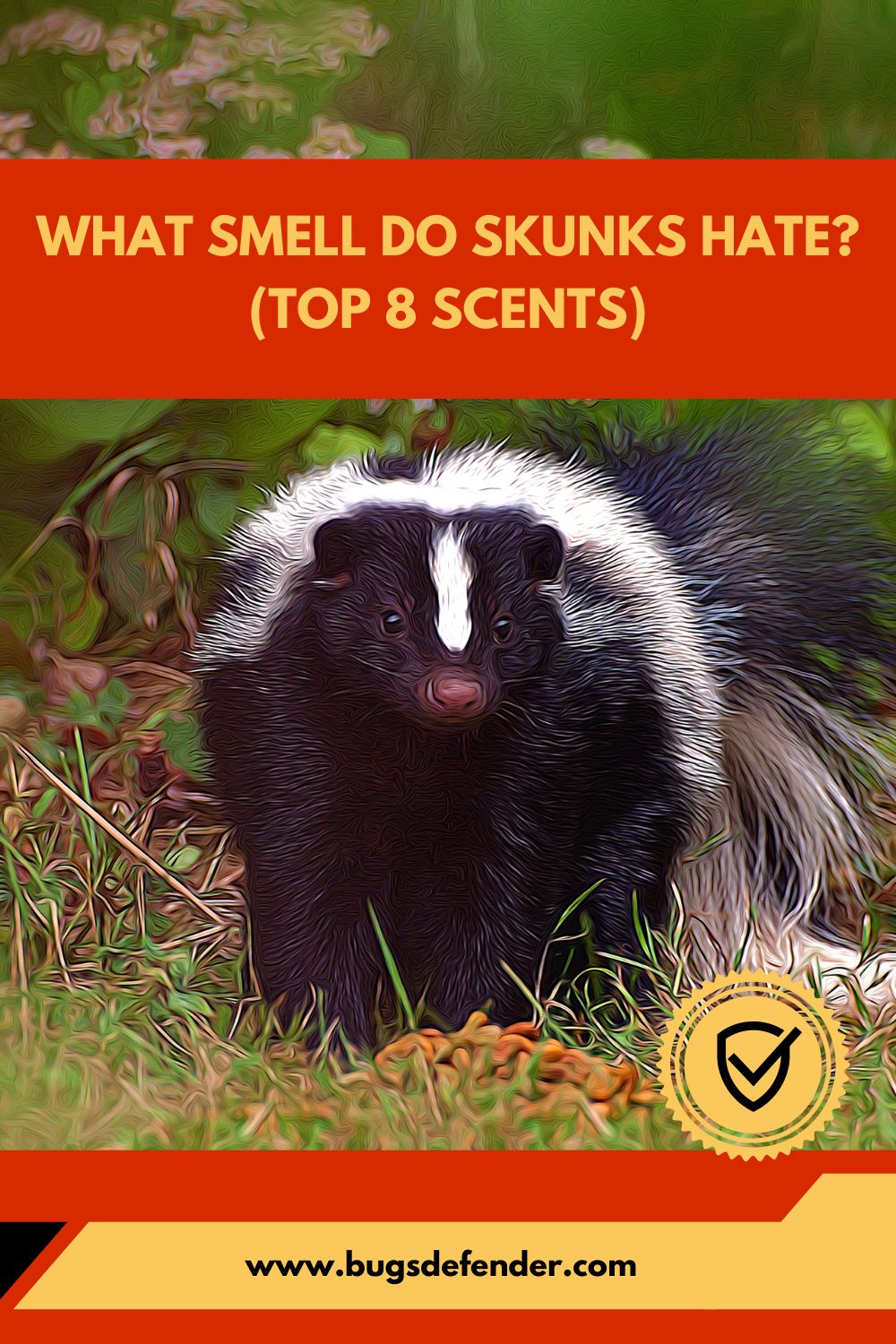 What Smell Do Skunks Hate (Top 8 Scents)pin2