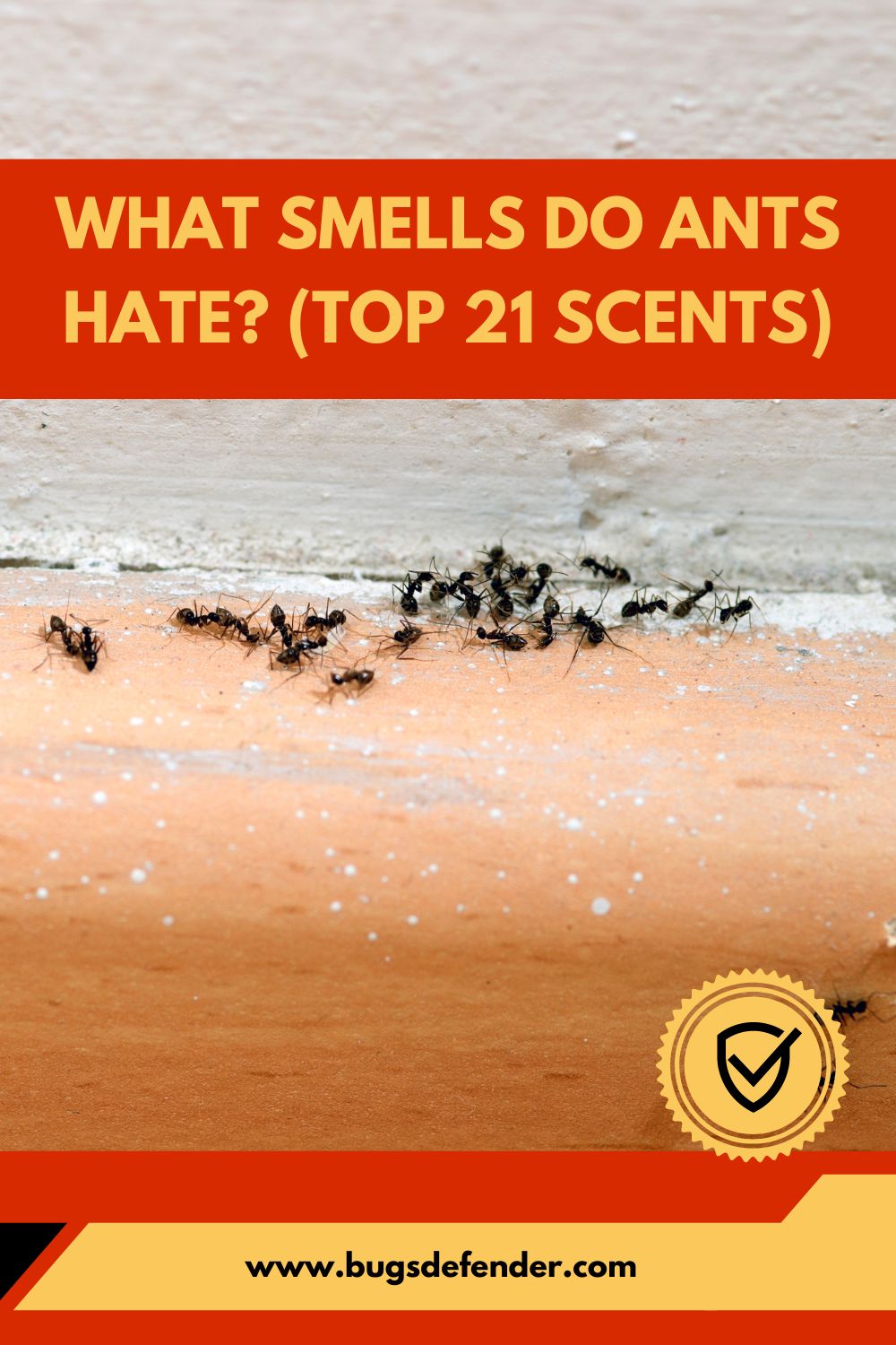 What Smells Do Ants Hate? (Top 21 Scents) pin1
