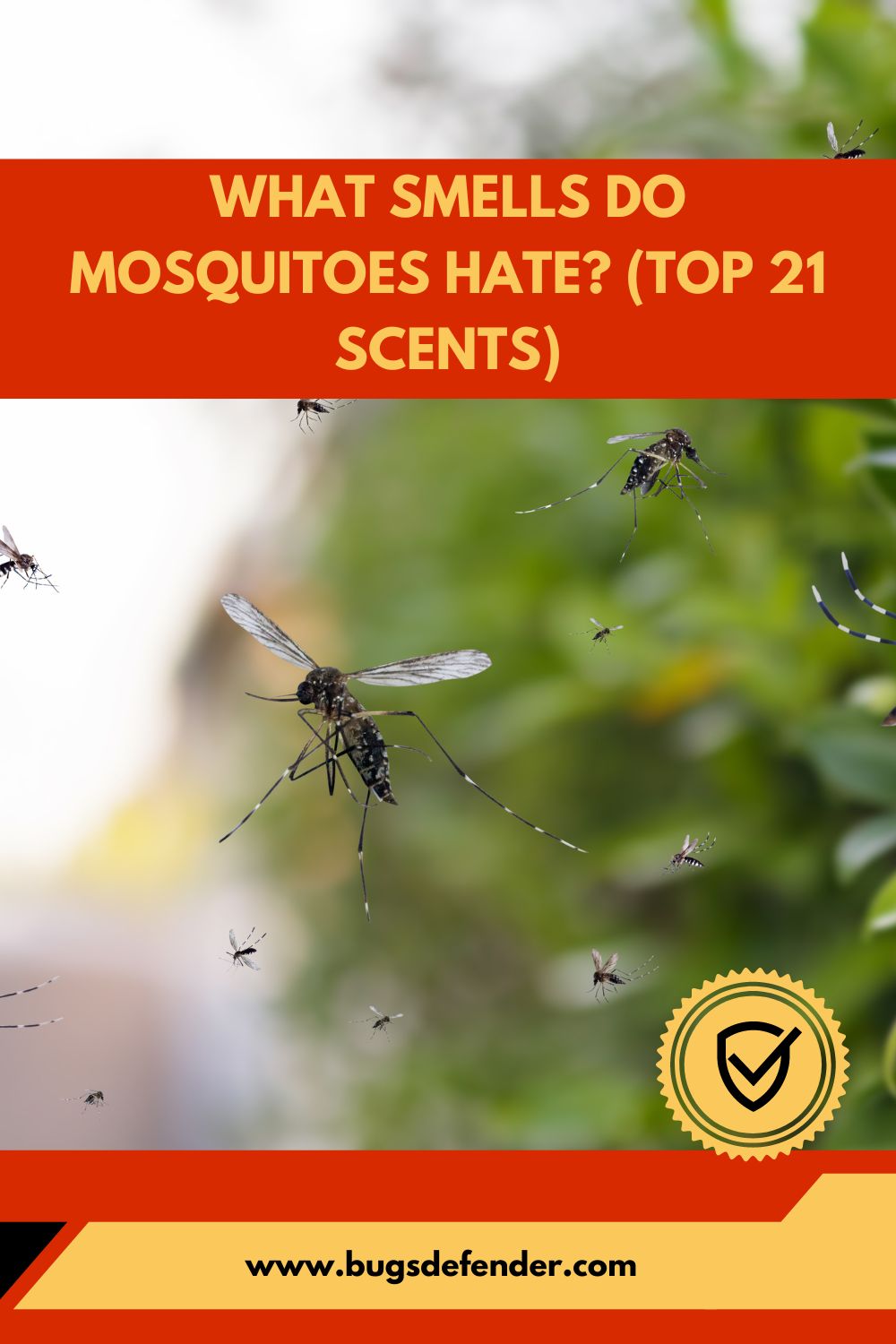 What Smells Do Mosquitoes Hate? (Top 21 Scents) pin1