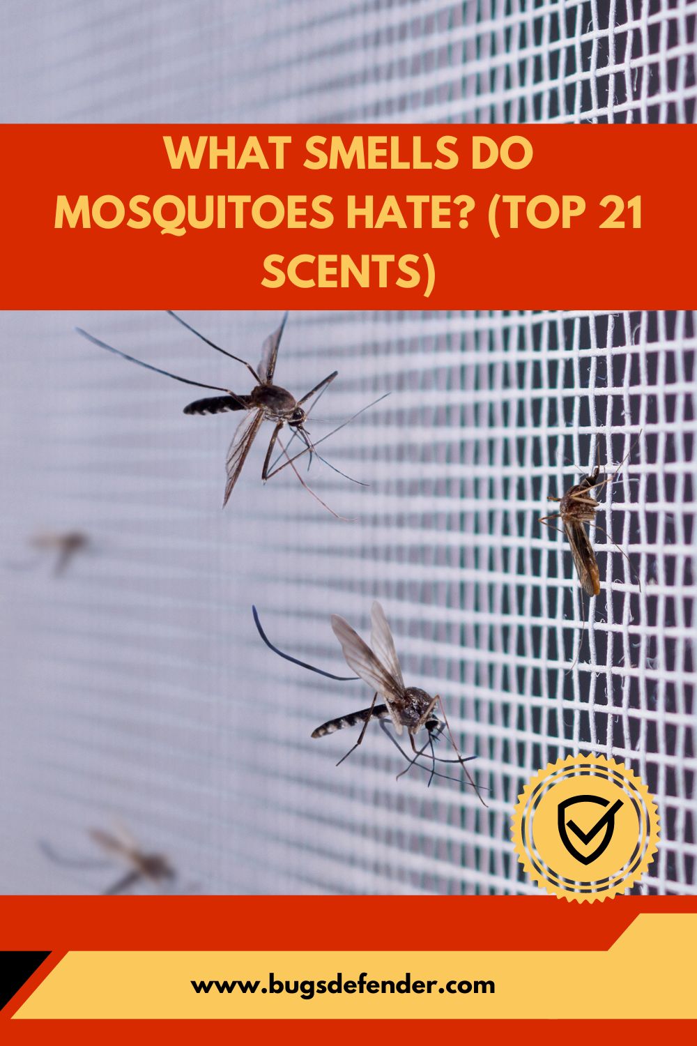 What Smells Do Mosquitoes Hate? (Top 21 Scents) pin2