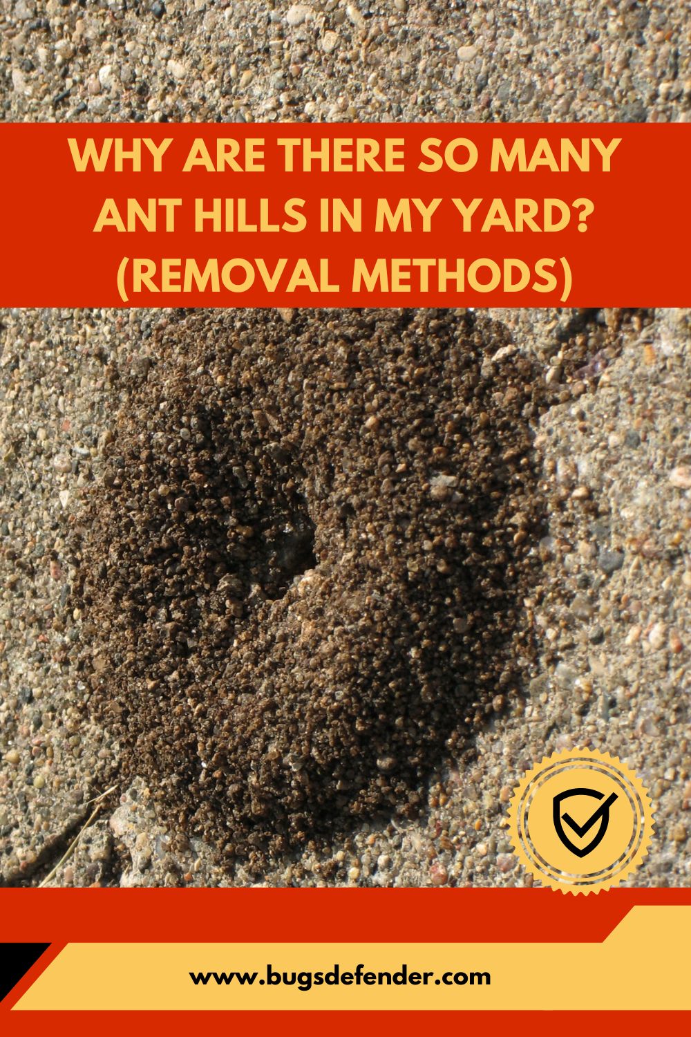Why Are There So Many Ant Hills in My Yard? (Removal Methods) pin1