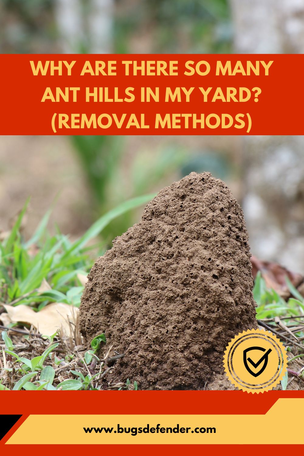 Why Are There So Many Ant Hills in My Yard? (Removal Methods) pin2