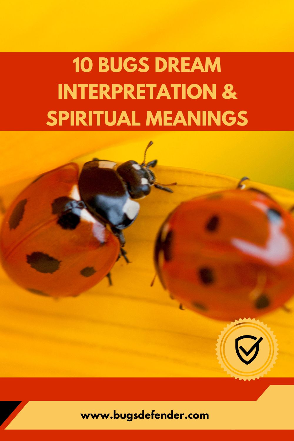 10 Bugs Dream Interpretation & Spiritual Meanings pin1