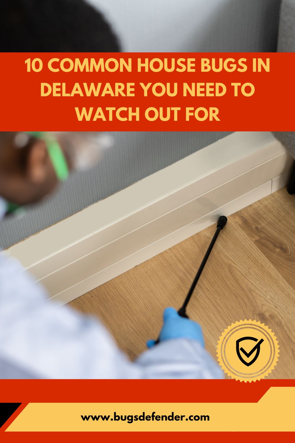 10 Common House Bugs In Delaware You Need To Watch Out For pin 2