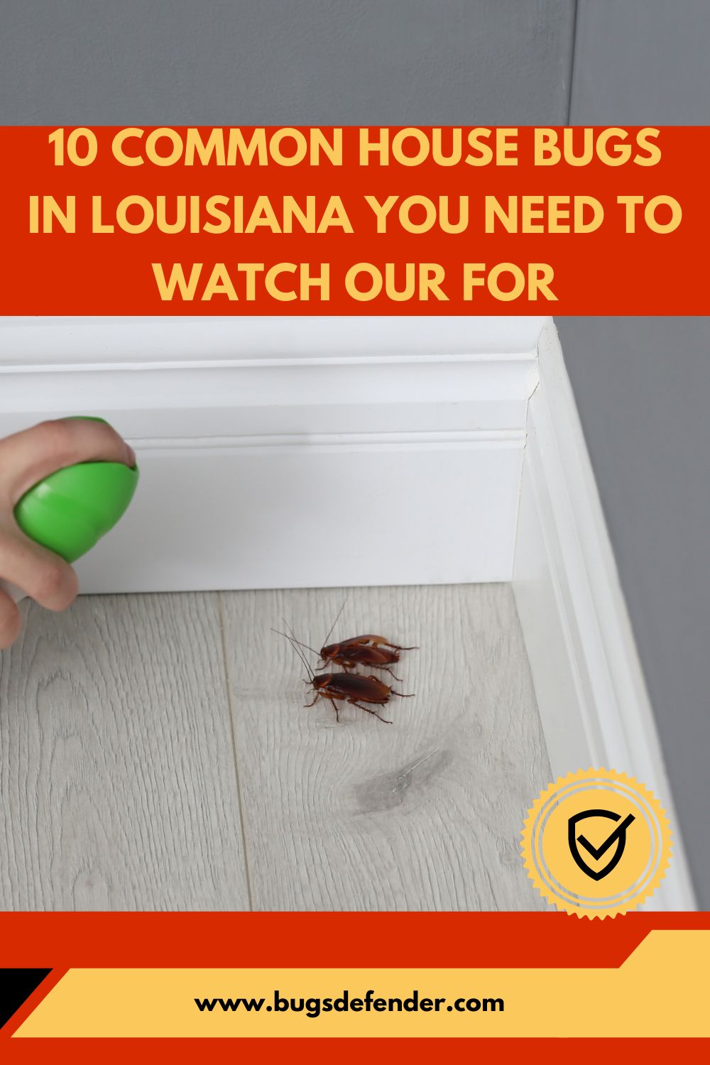 10 Common House Bugs In Louisiana You Need To Watch Our For pin 1