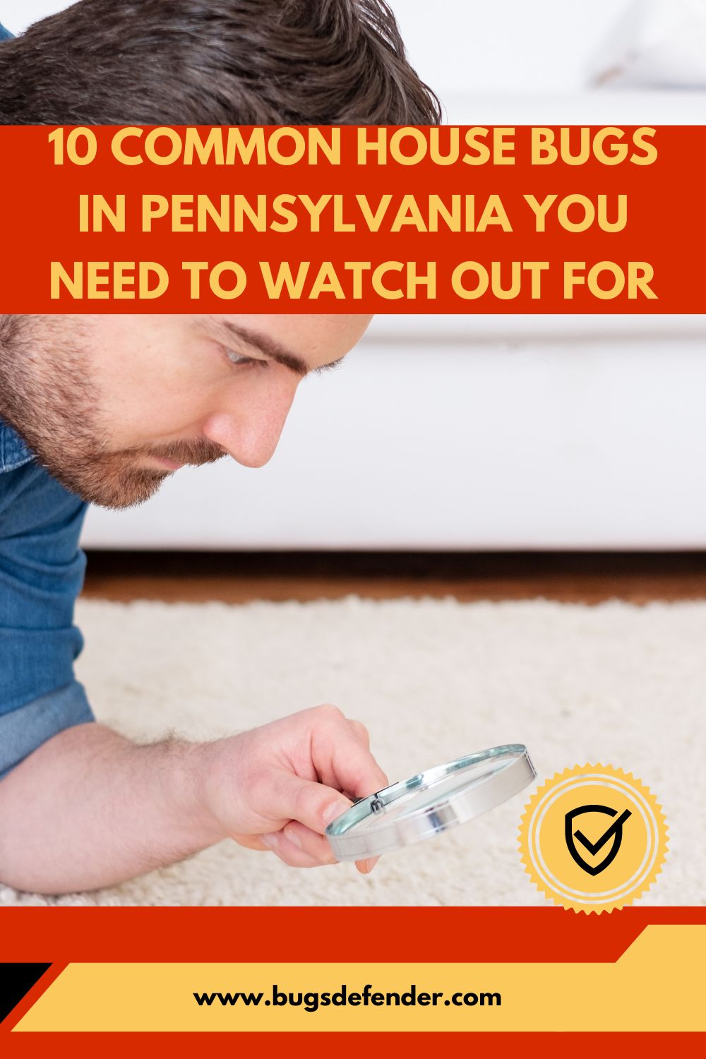 10 Common House Bugs in Pennsylvania You Need To Watch Out For pin 1