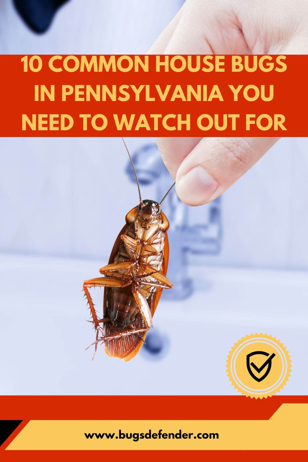 10 Common House Bugs in Pennsylvania You Need To Watch Out For pin 2