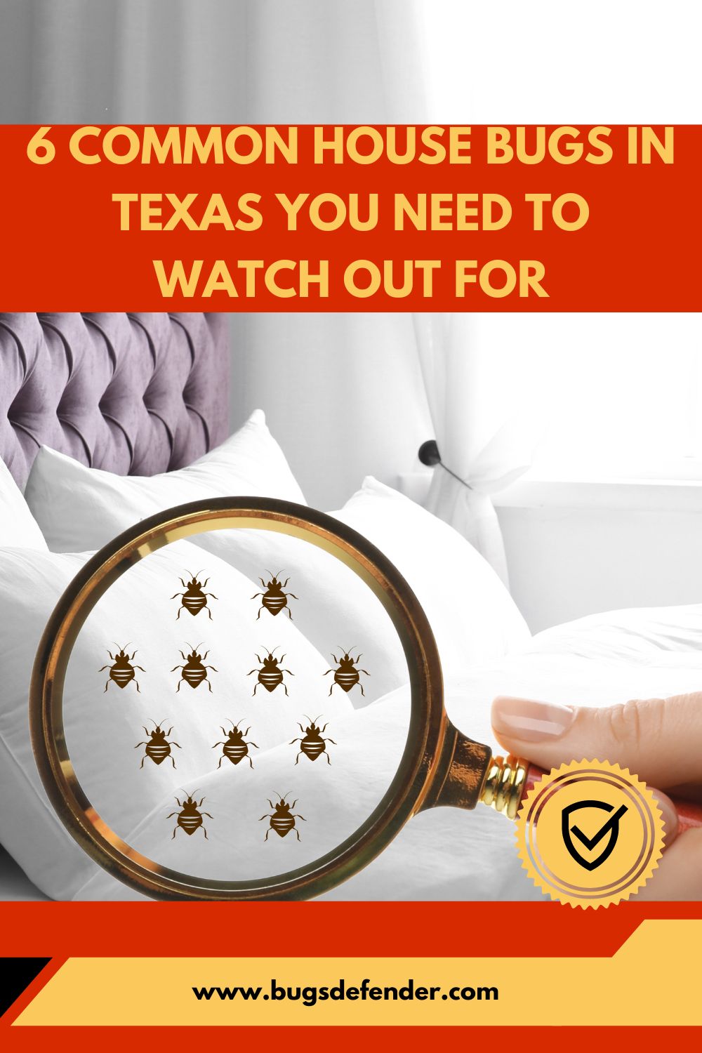6 Common House Bugs in Texas You Need To Watch Out For pin 1