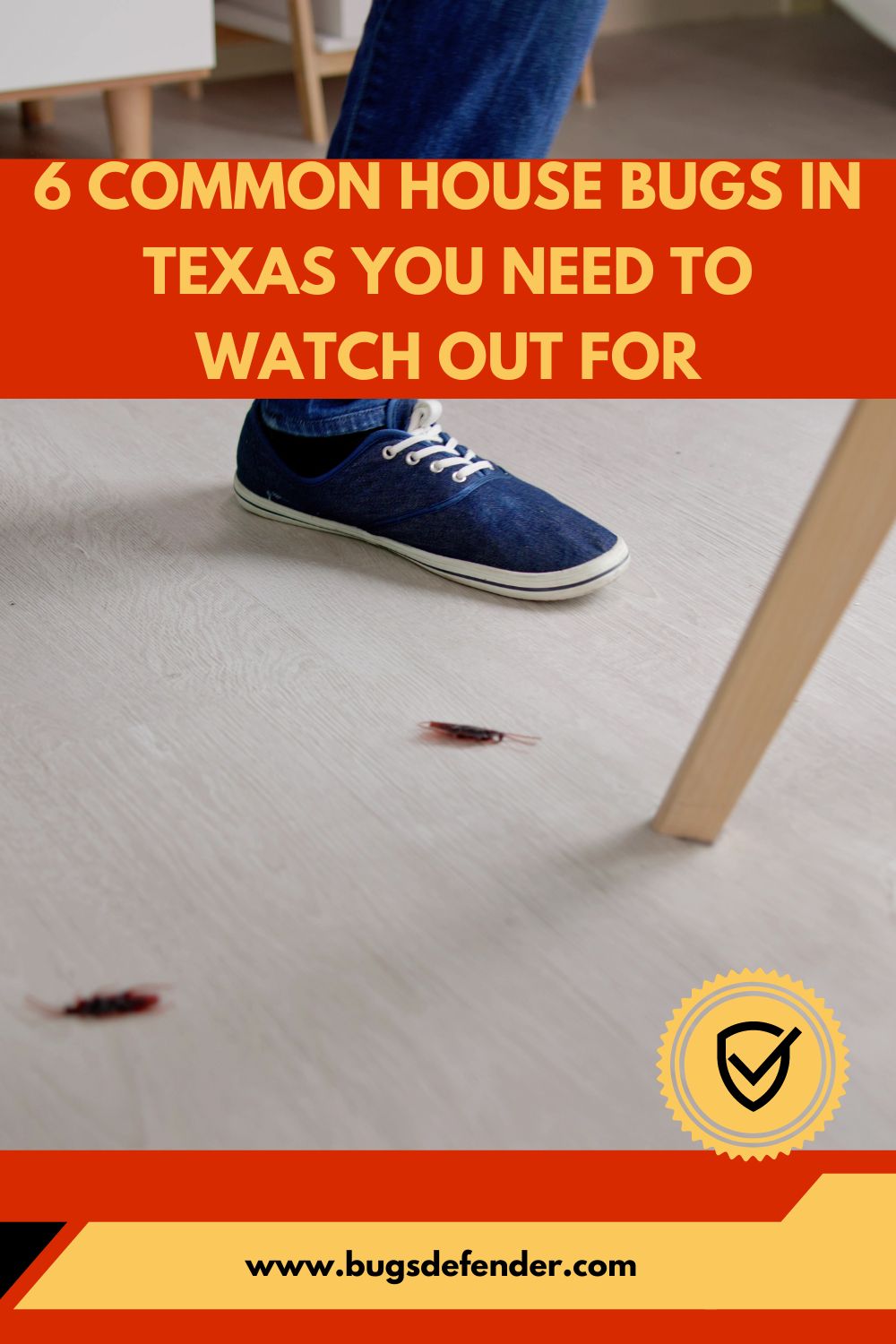 6 Common House Bugs in Texas You Need To Watch Out For pin 2