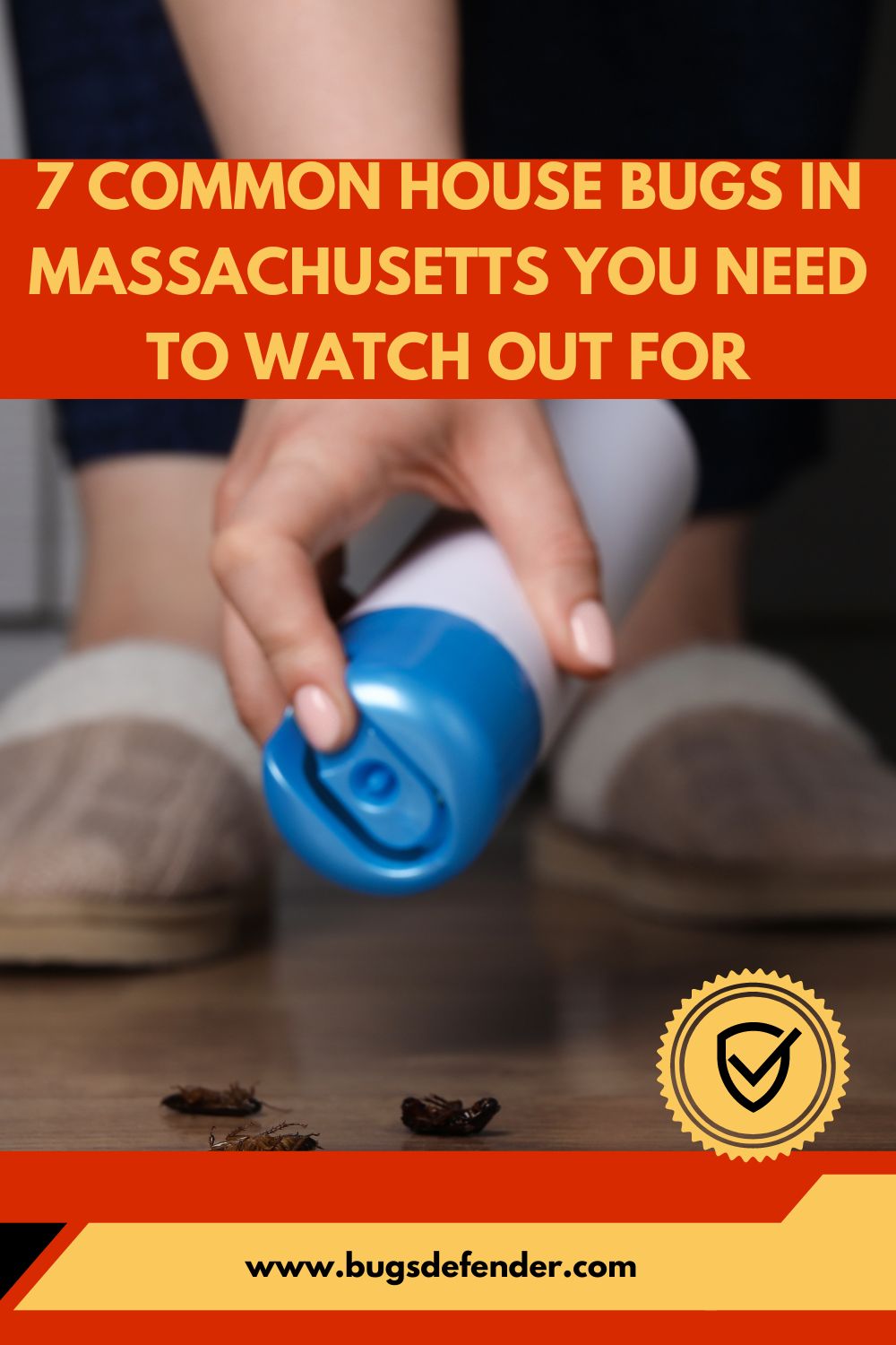 7 Common House Bugs In Massachusetts You Need To Watch Out For pin 2