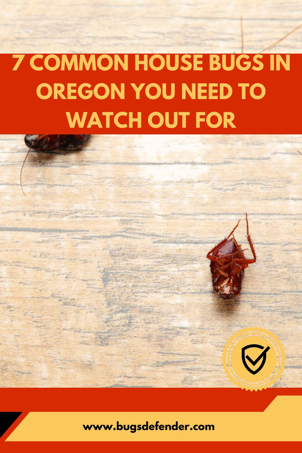 7 Common House Bugs in Oregon You Need To Watch Out For pin 1