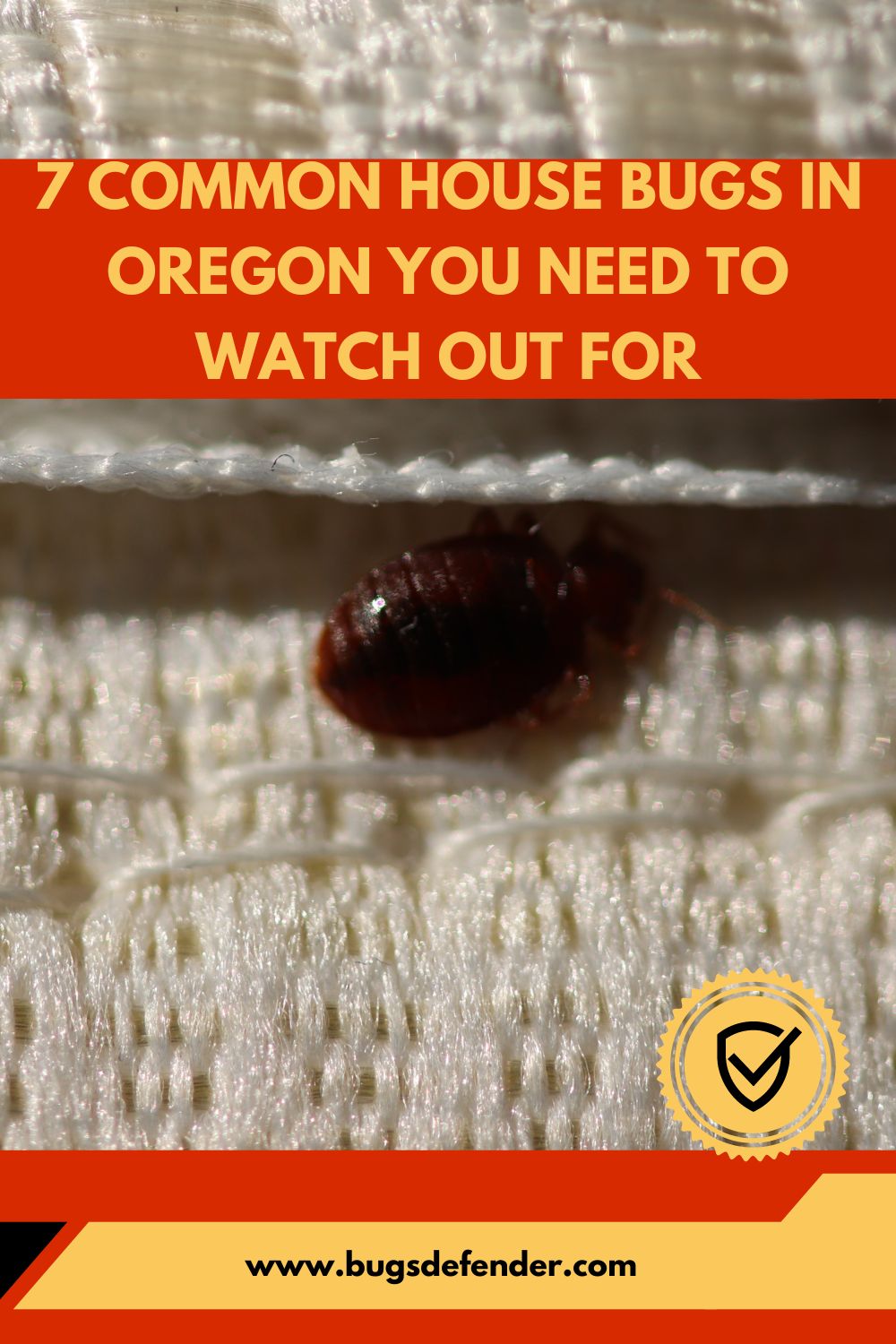 7 Common House Bugs in Oregon You Need To Watch Out For pin 2