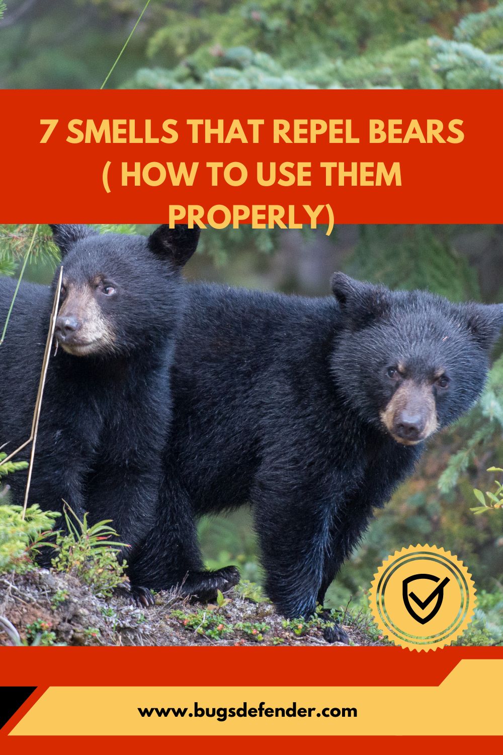 7 Smells That Repel Bears ( How To Use Them Properly) pin1