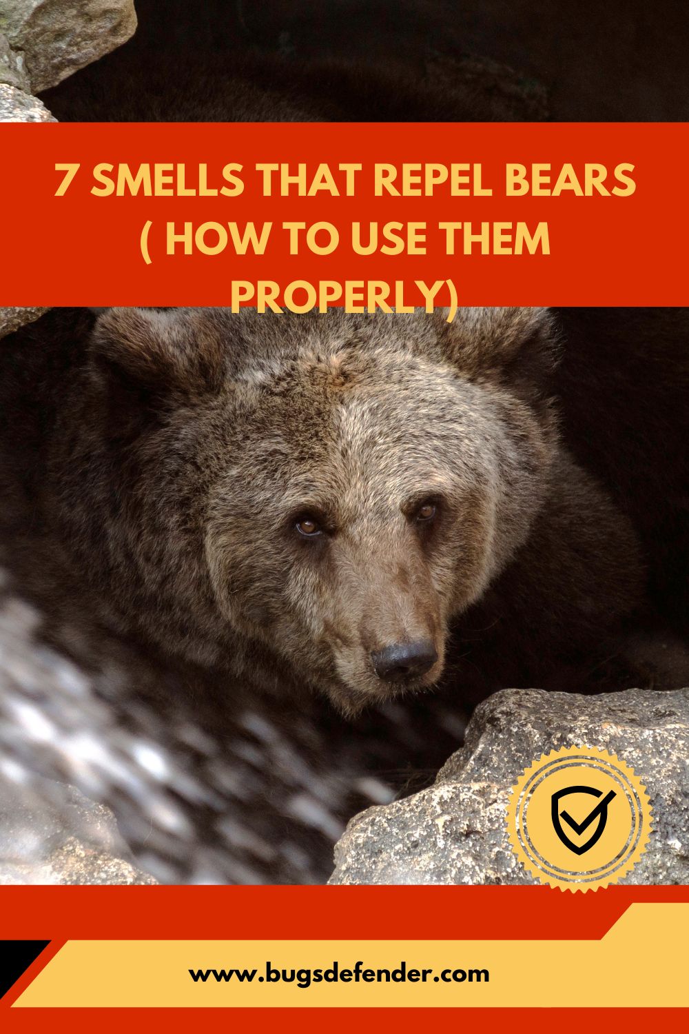 7 Smells That Repel Bears ( How To Use Them Properly) pin2