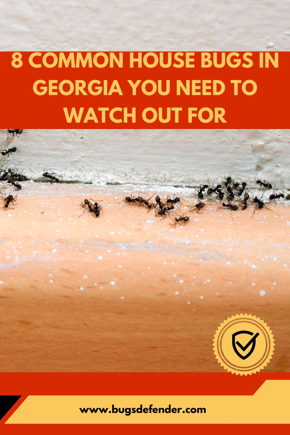 8 Common House Bugs In Georgia You Need To Watch Out For pin 1
