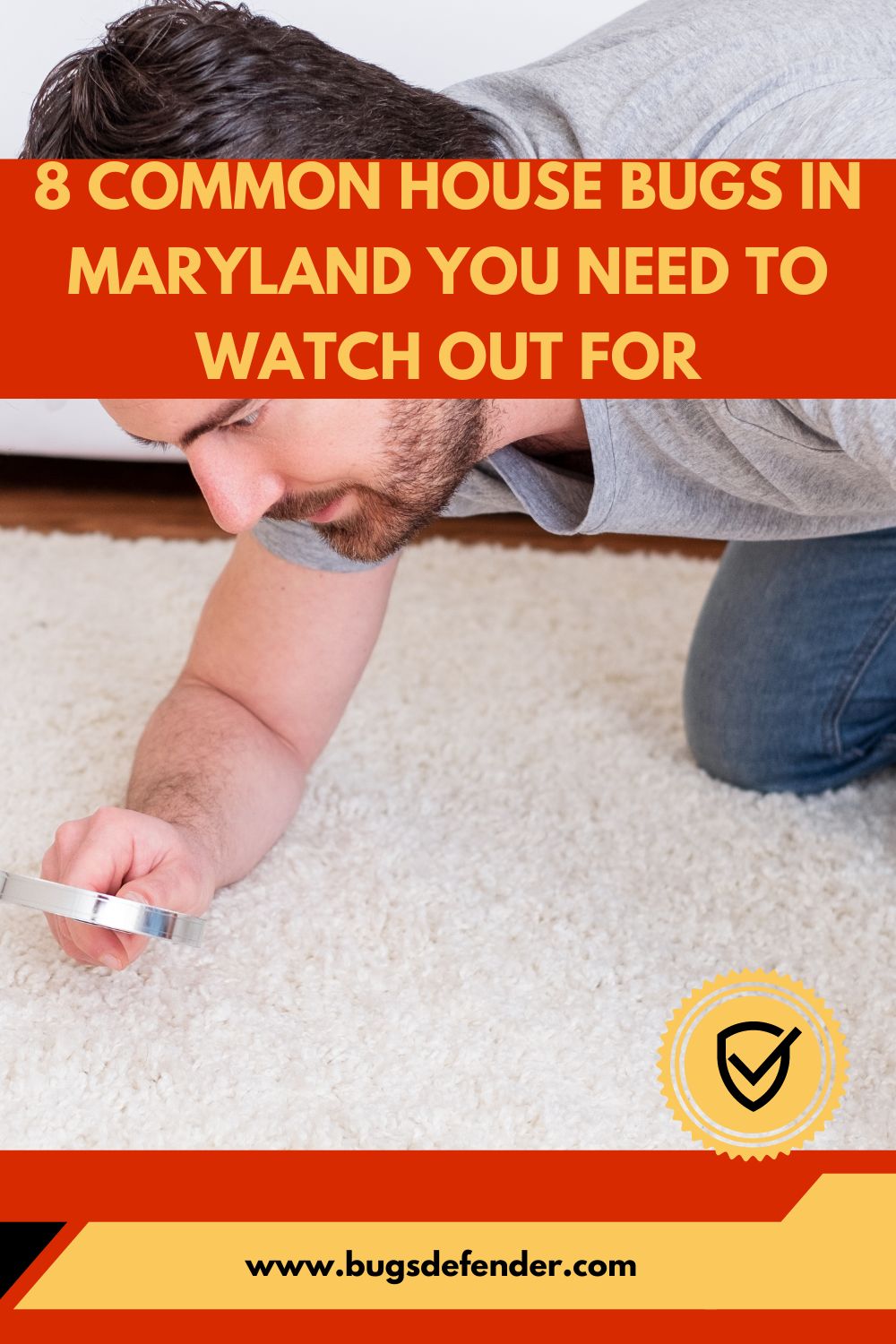 8 Common House Bugs In Maryland You Need To Watch Out For pin 1