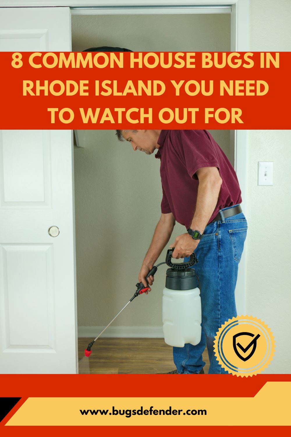 8 Common House Bugs in Rhode Island You Need To Watch Out For pin 2