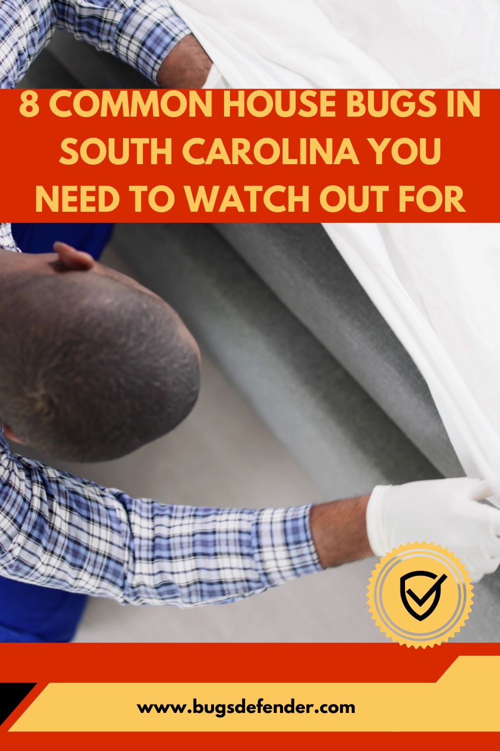 8 Common House Bugs in South Carolina You Need To Watch Out For pin 1