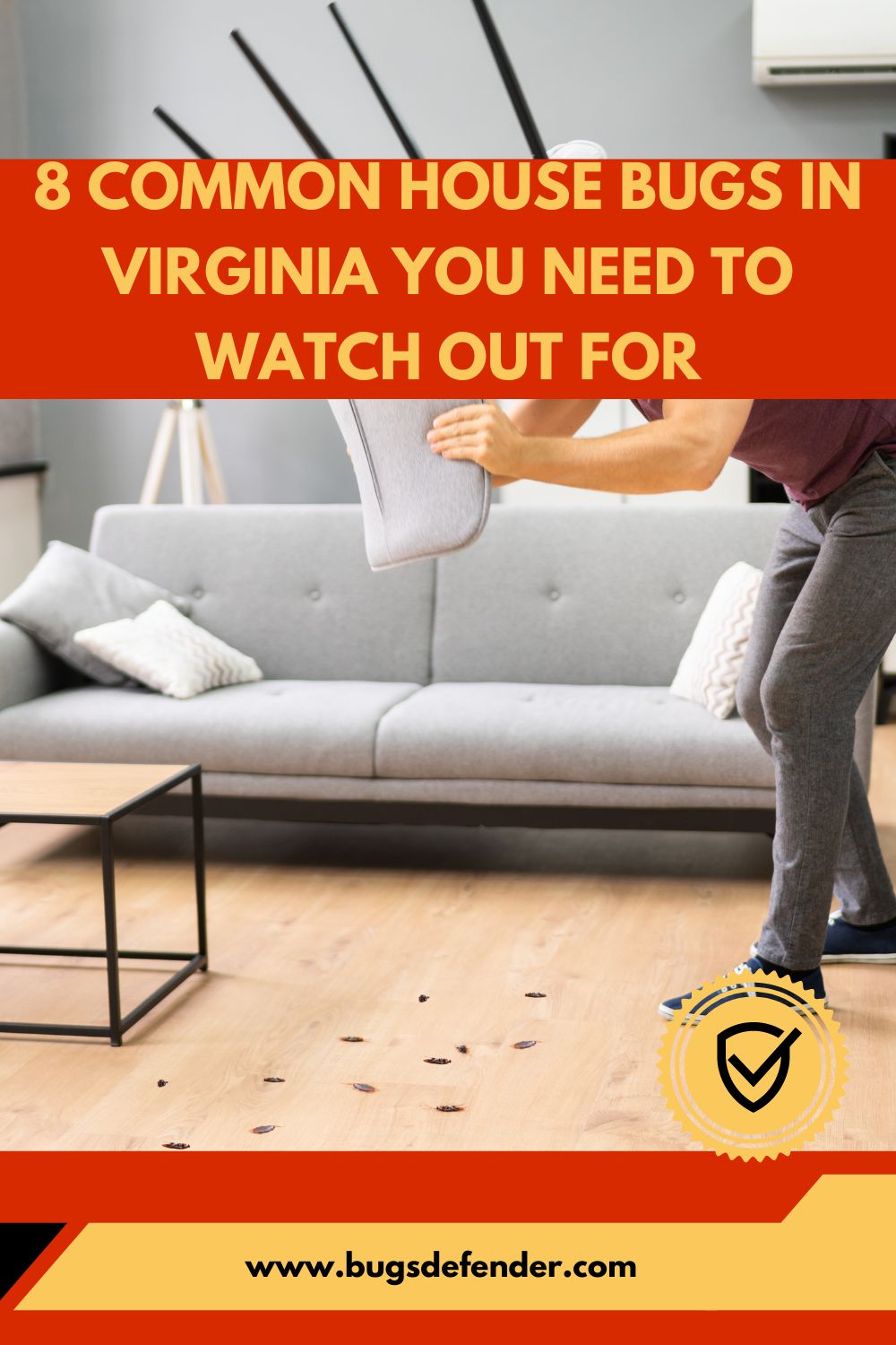 8 Common House Bugs in Virginia You Need To Watch Out For pin 2