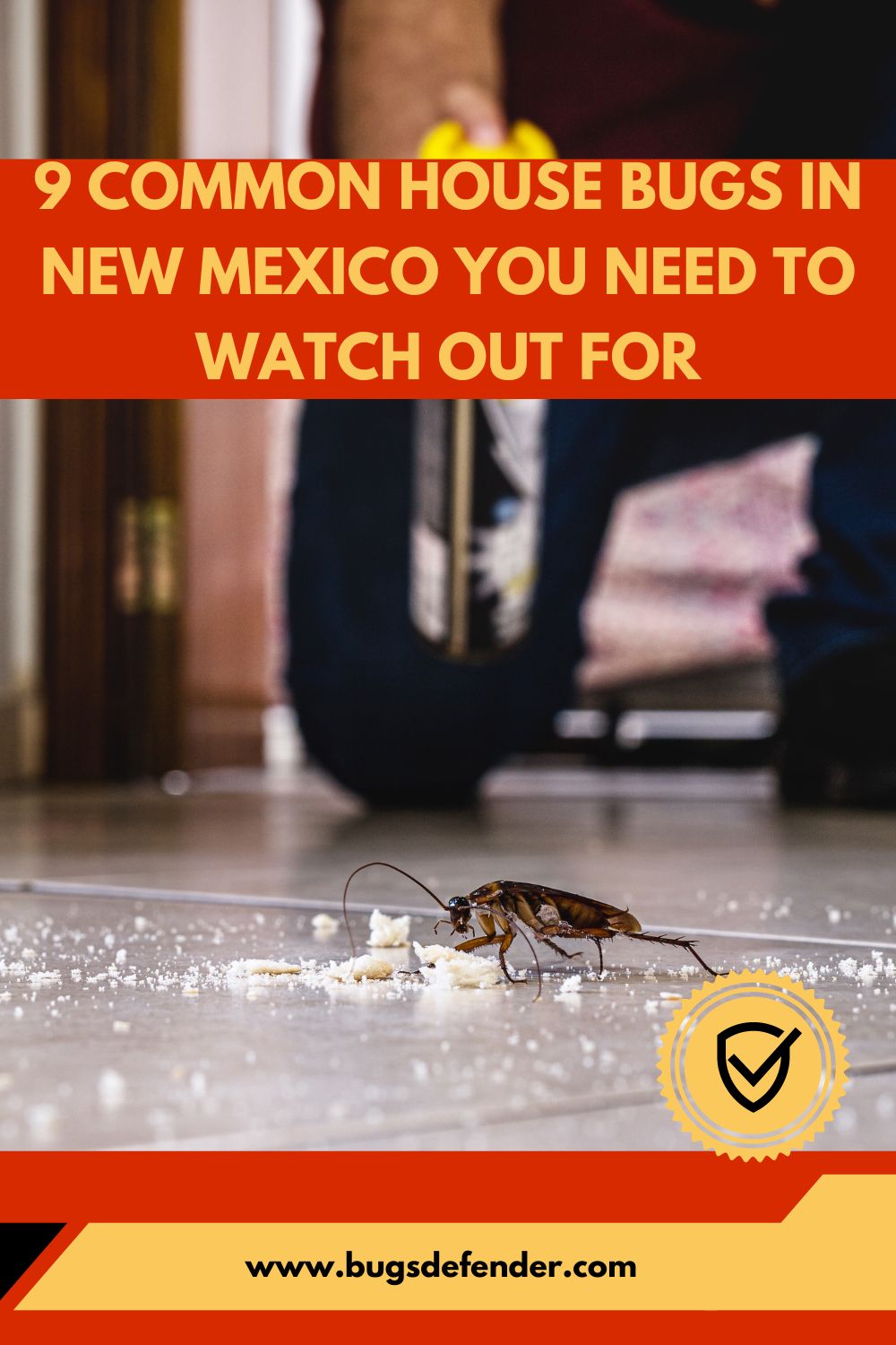 9 Common House Bugs In New Mexico You Need To Watch Out For pin 1