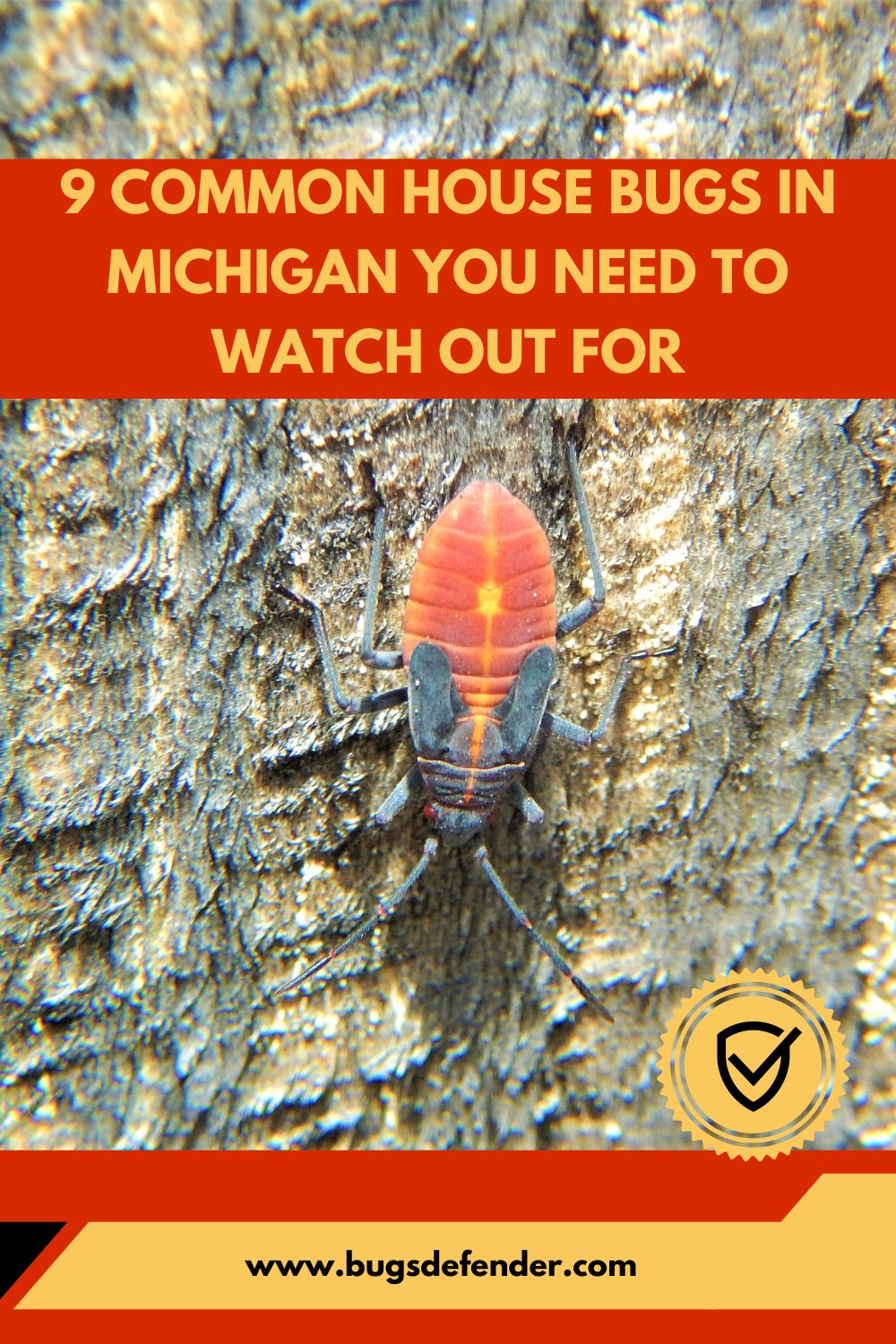 9 Common House Bugs in Michigan You Need To Watch Out For pin1