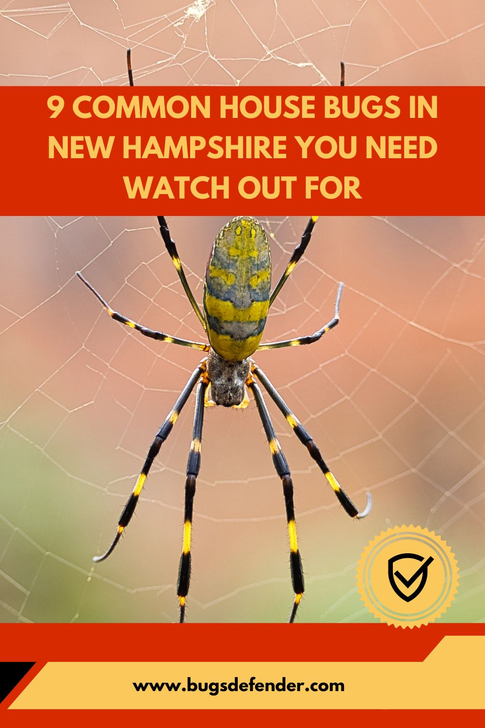 9 Common House Bugs in New Hampshire You Need Watch Out For pin2