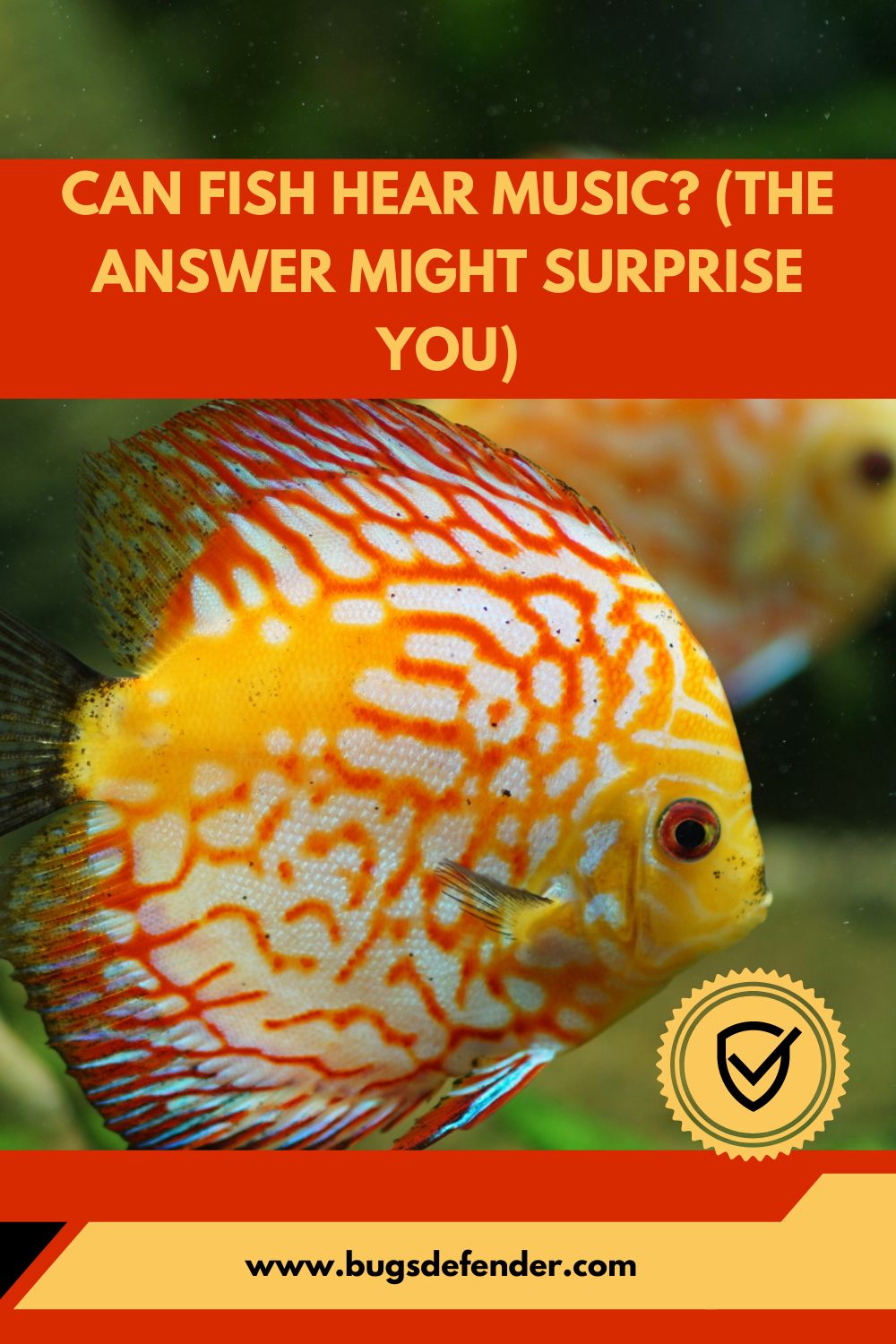 Can Fish Hear Music? (The Answer Might Surprise You)pin1