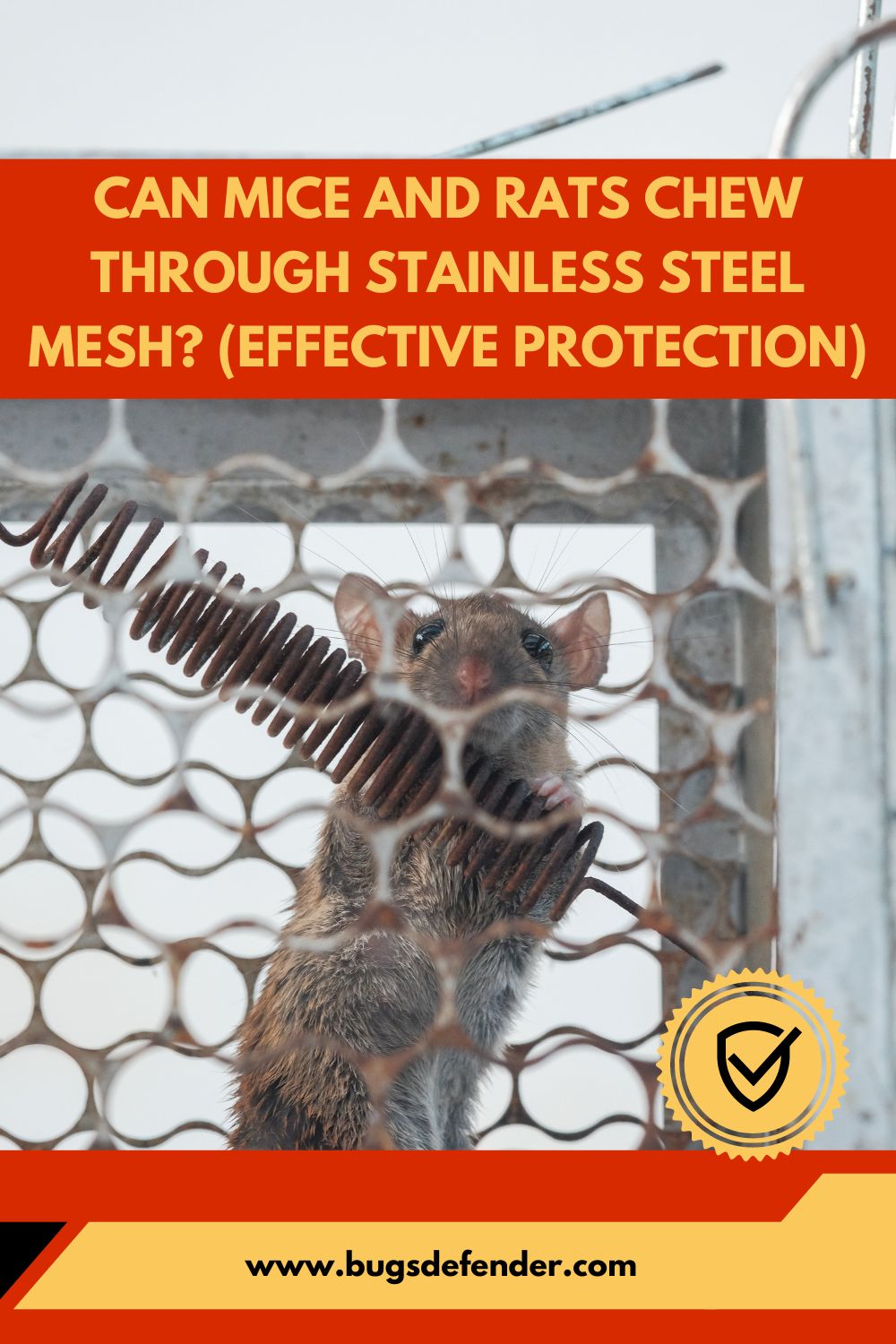Can Mice and Rats Chew Through Stainless Steel Mesh? (Effective Protection) pin 1