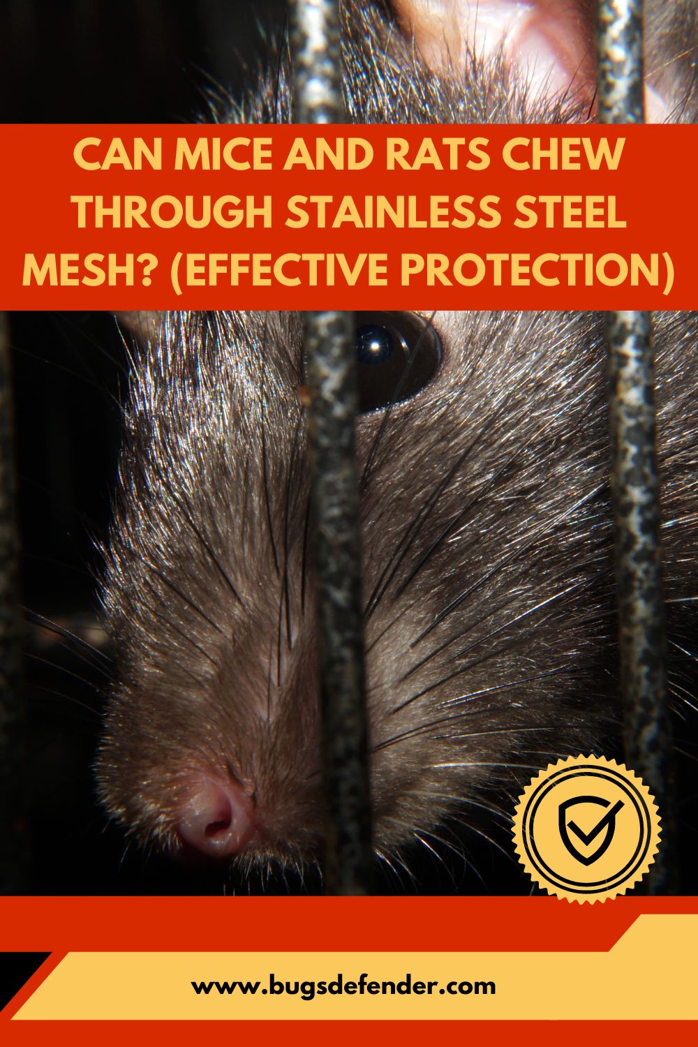 Can Mice and Rats Chew Through Stainless Steel Mesh? (Effective Protection) pin 2