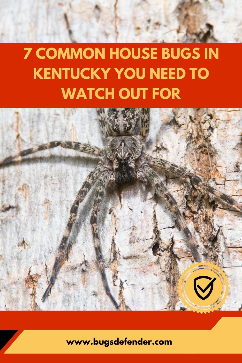 Common House Bugs In Kentucky pin1