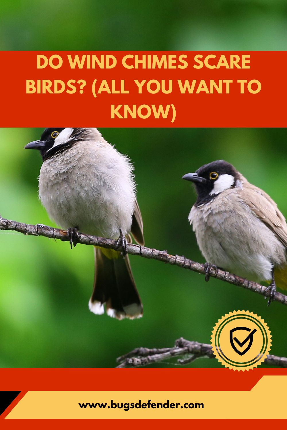 Do Wind Chimes Scare Birds? (All You Want To Know) pin1