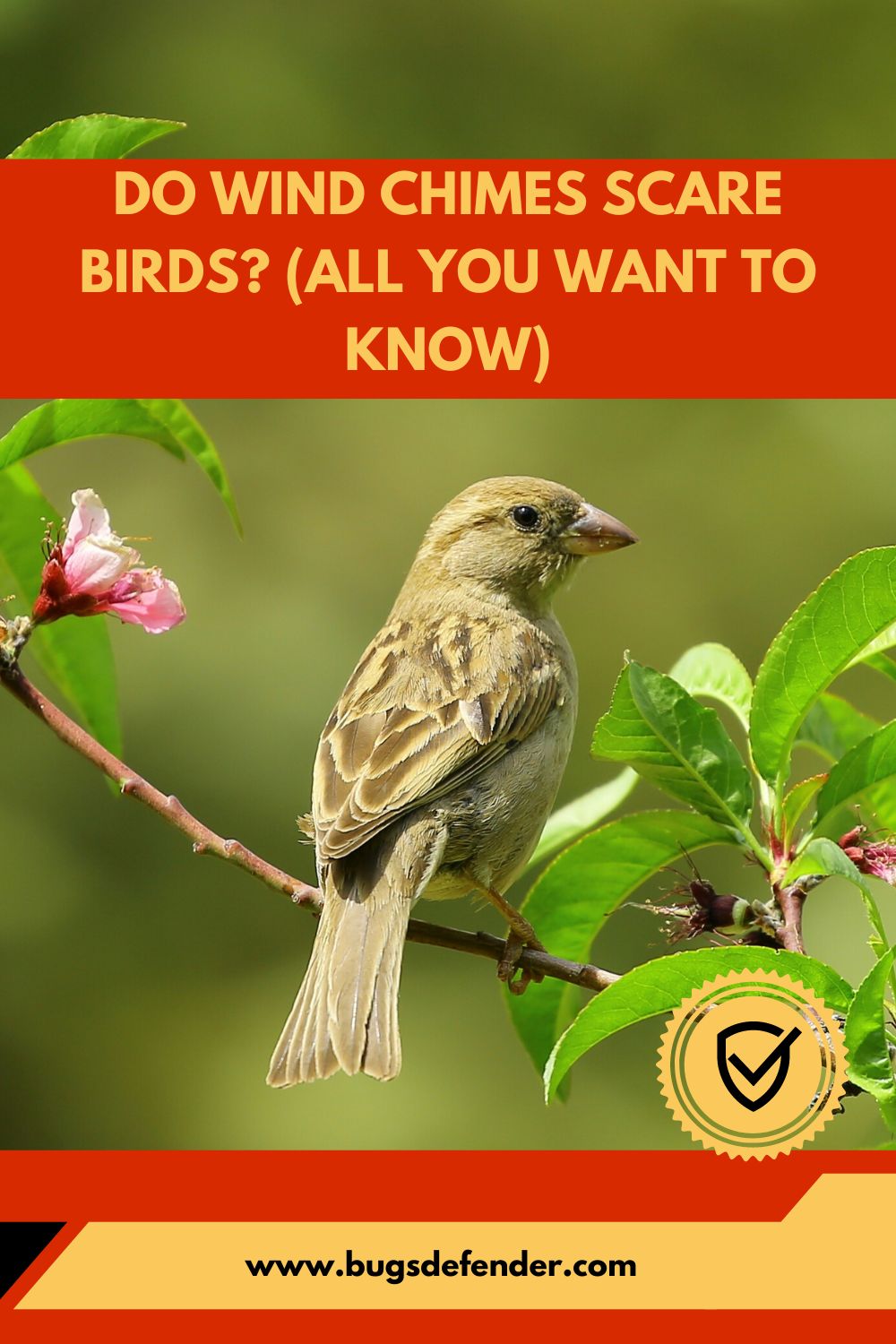 Do Wind Chimes Scare Birds? (All You Want To Know) pin2