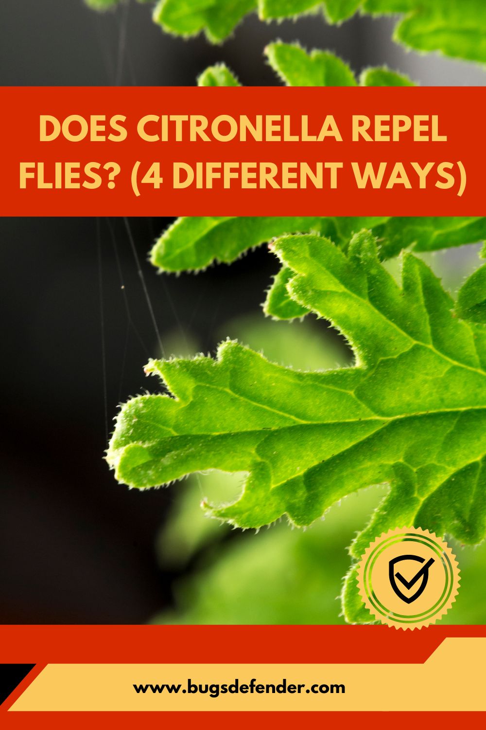 Does Citronella Repel Flies? (4 Different Ways) pin1