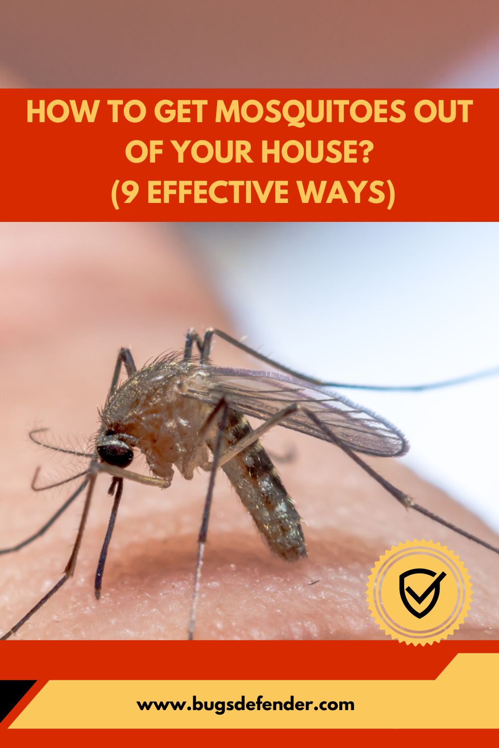 How To Get Mosquitoes Out Of Your House pin1