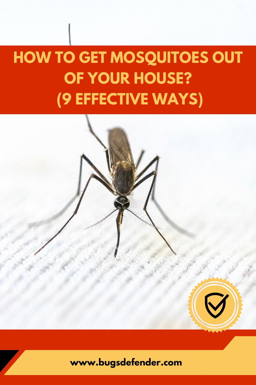 How To Get Mosquitoes Out Of Your House pin2