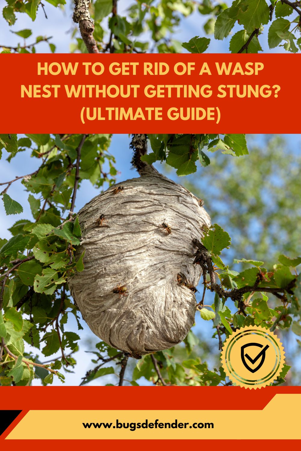 How To Get Rid Of A Wasp Nest Without Getting Stung pin1