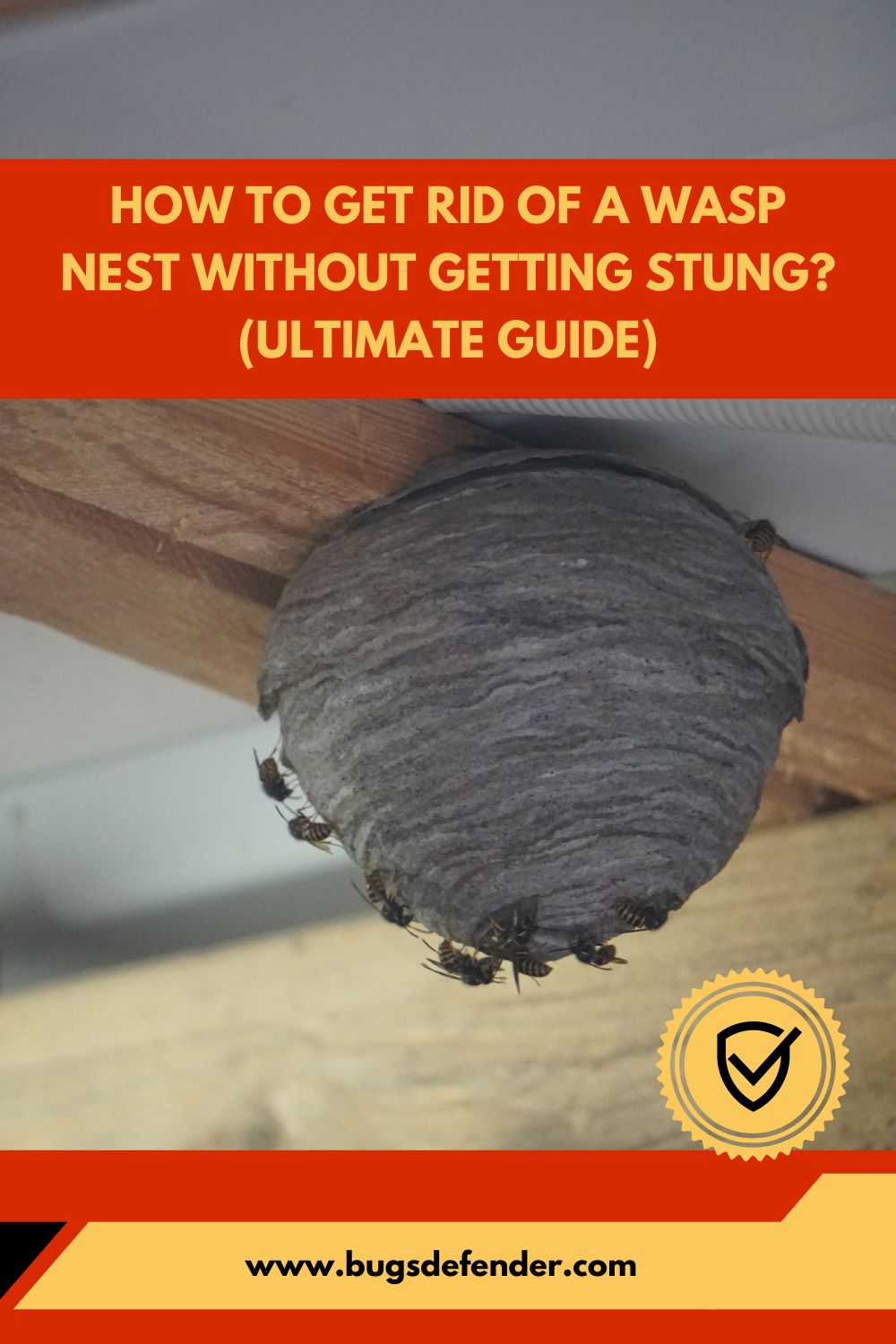 How To Get Rid Of A Wasp Nest Without Getting Stung pin2
