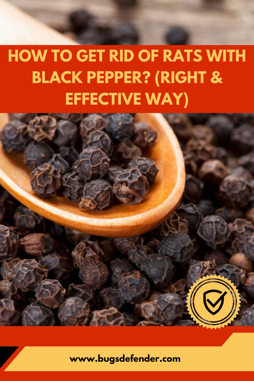 How To Get Rid Of Rats With Black Pepper? (Right & Effective Way) pin1