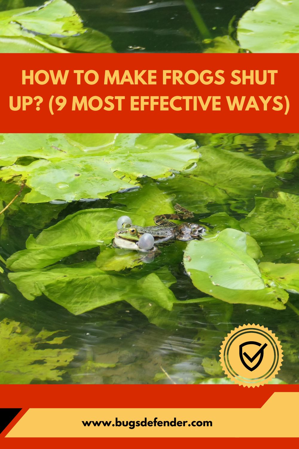 How To Make Frogs Shut Up? (9 Most Effective Ways) pin1