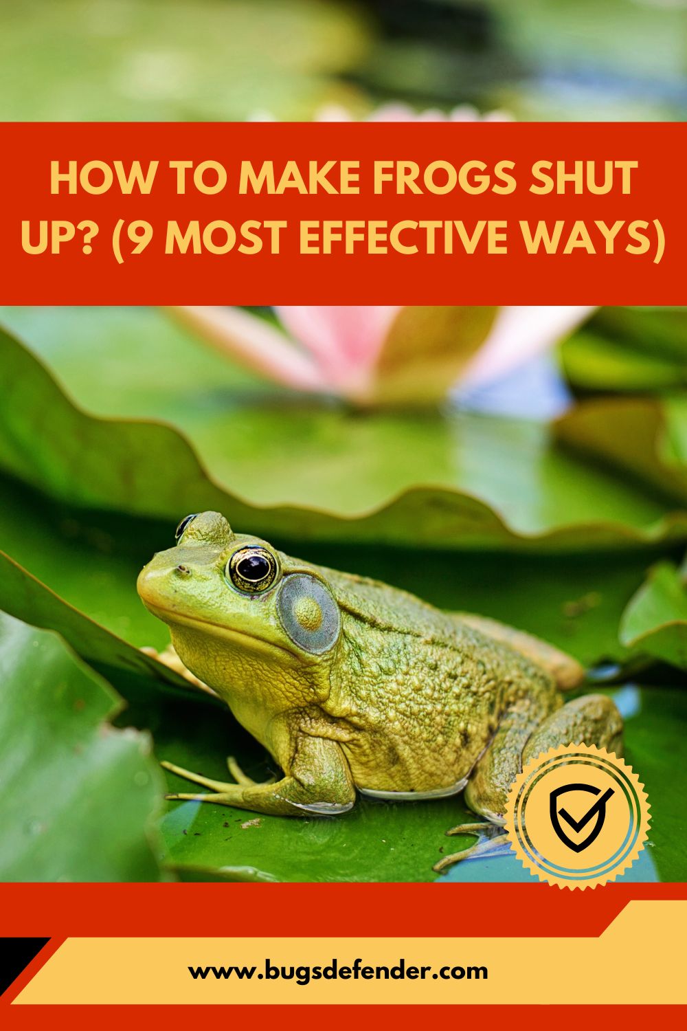 How To Make Frogs Shut Up? (9 Most Effective Ways) pin2