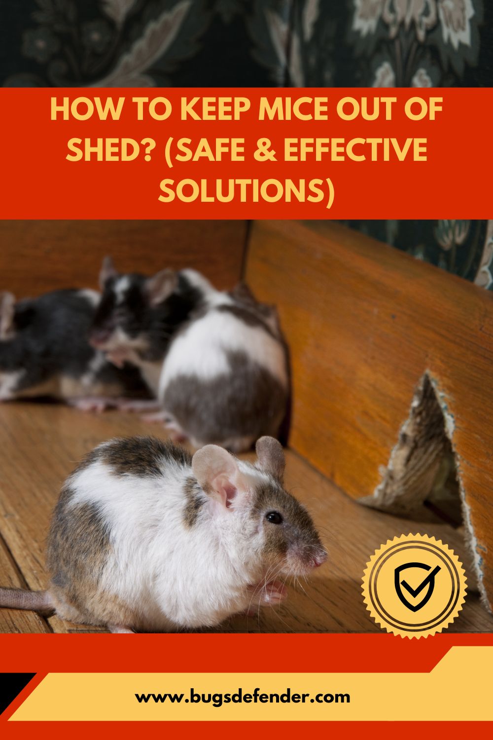 How to Keep Mice Out of Shed pin1