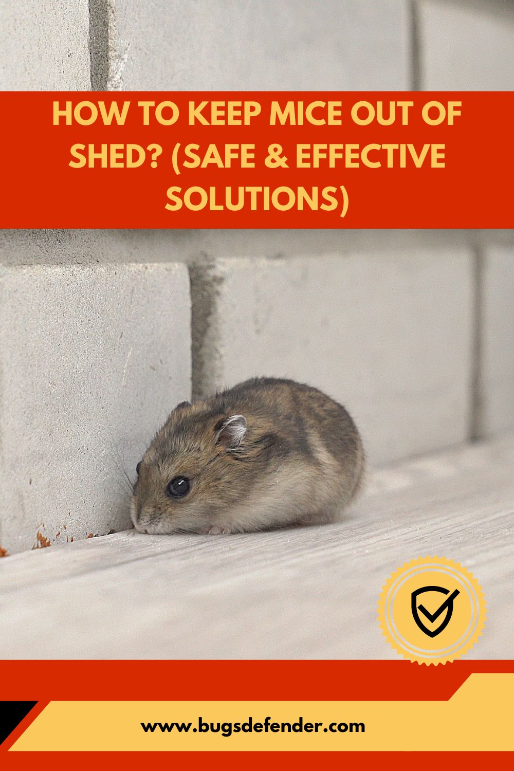 How to Keep Mice Out of Shed pin2