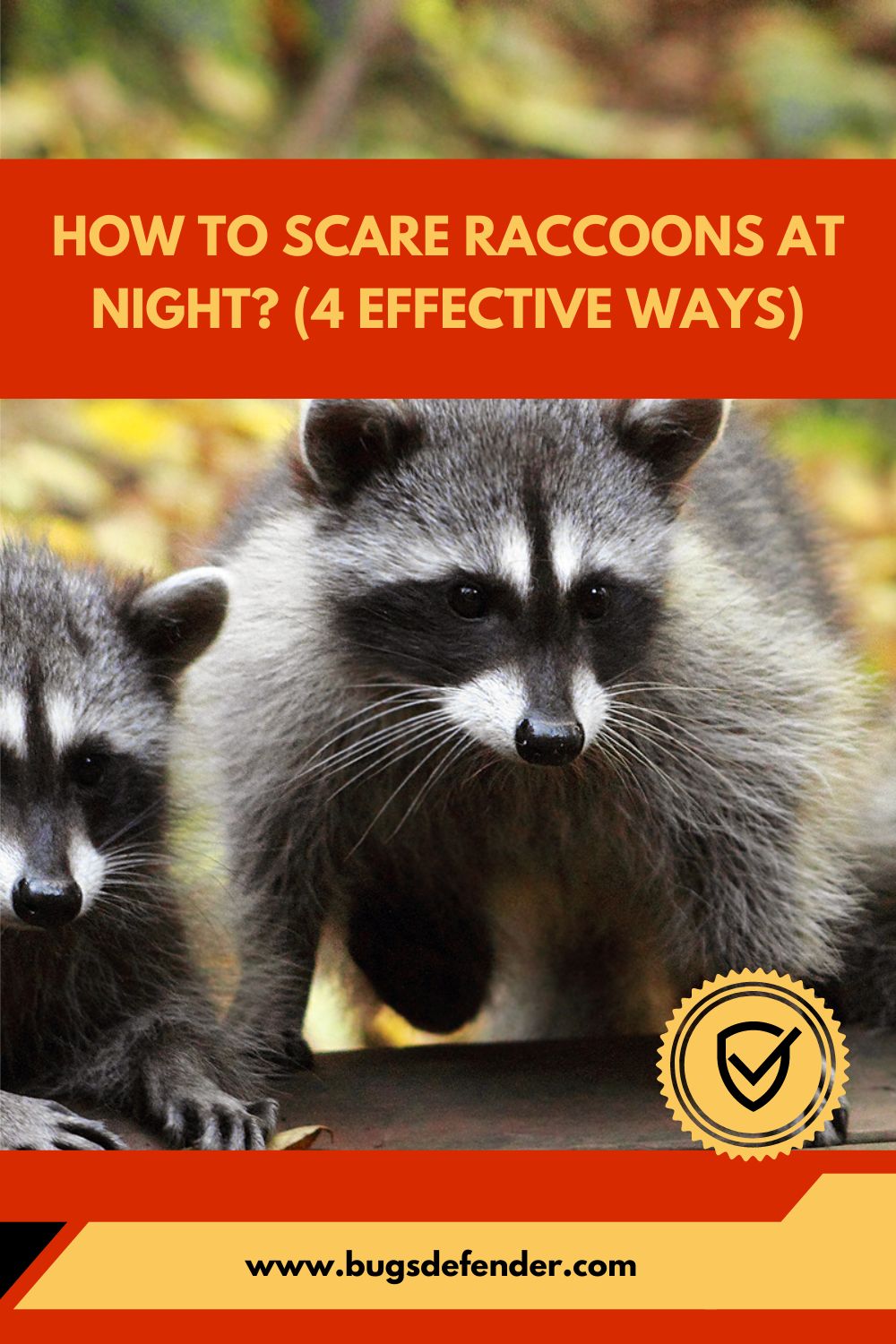 How to Scare Raccoons at Night (4 Effective Ways)pin1