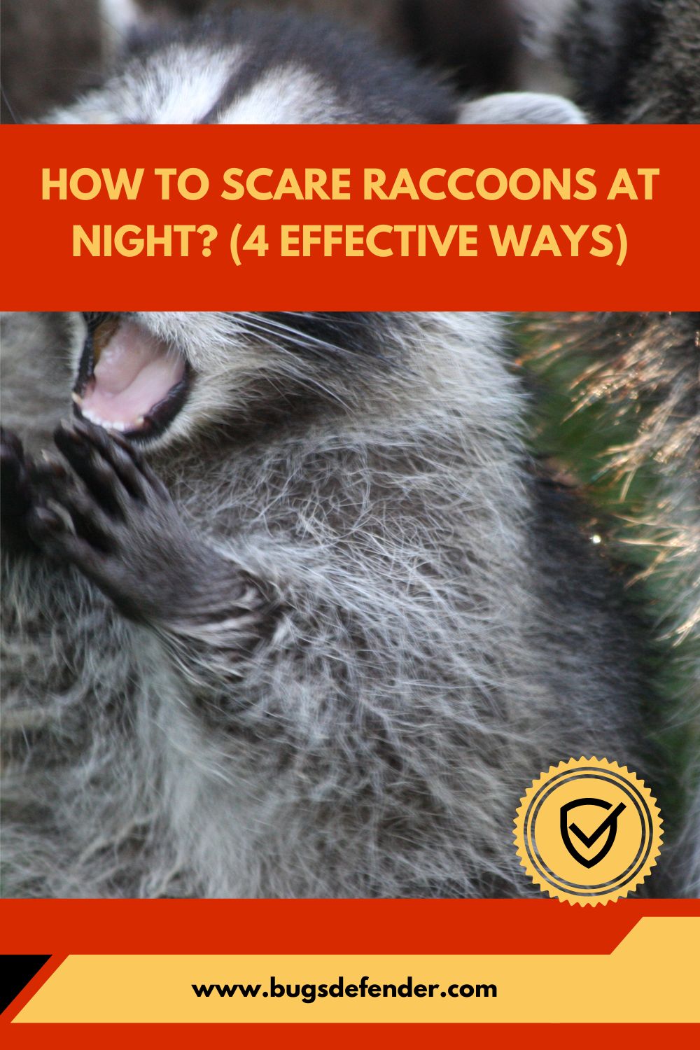 How to Scare Raccoons at Night (4 Effective Ways)pin2