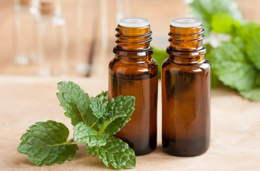 Peppermint essential oil1