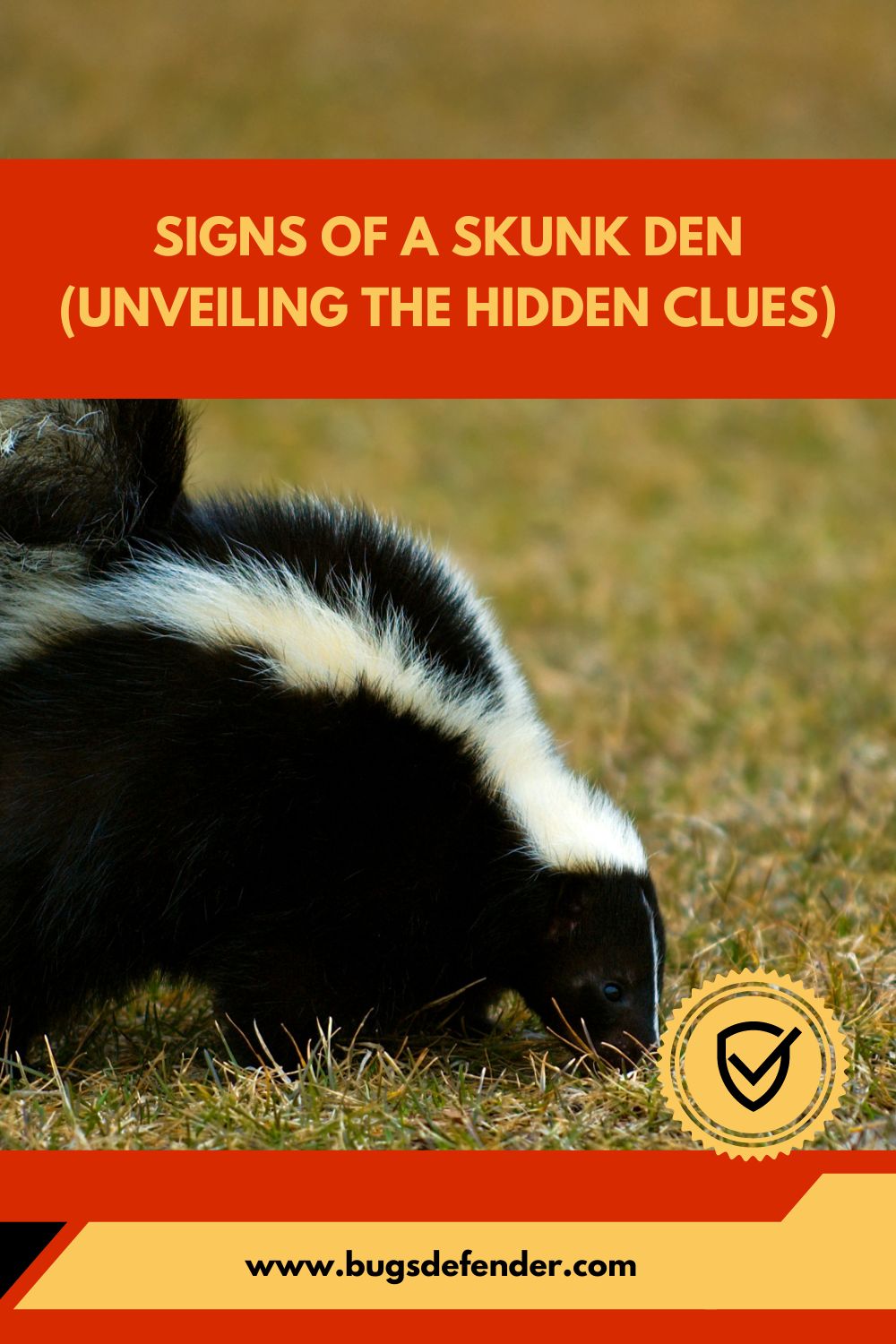Signs of A Skunk Den (Unveiling the Hidden Clues) pin1