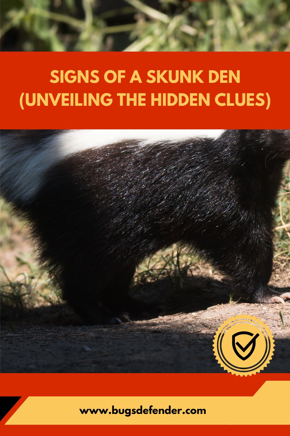 Signs of A Skunk Den (Unveiling the Hidden Clues) pin2