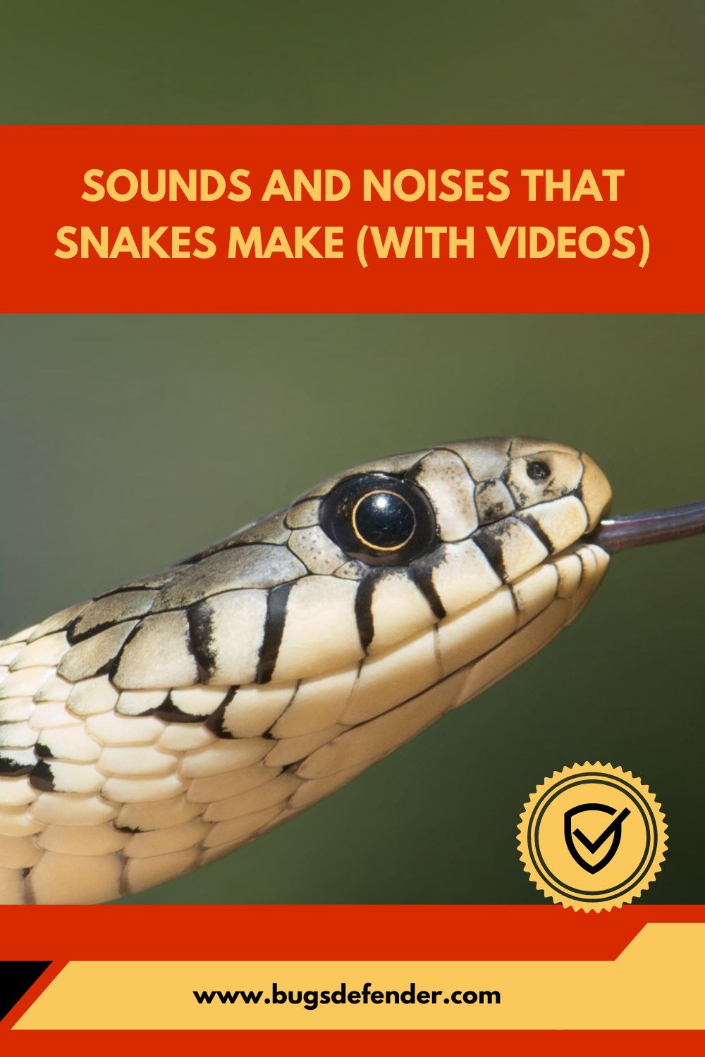 Sounds and Noises That Snakes Make pin2