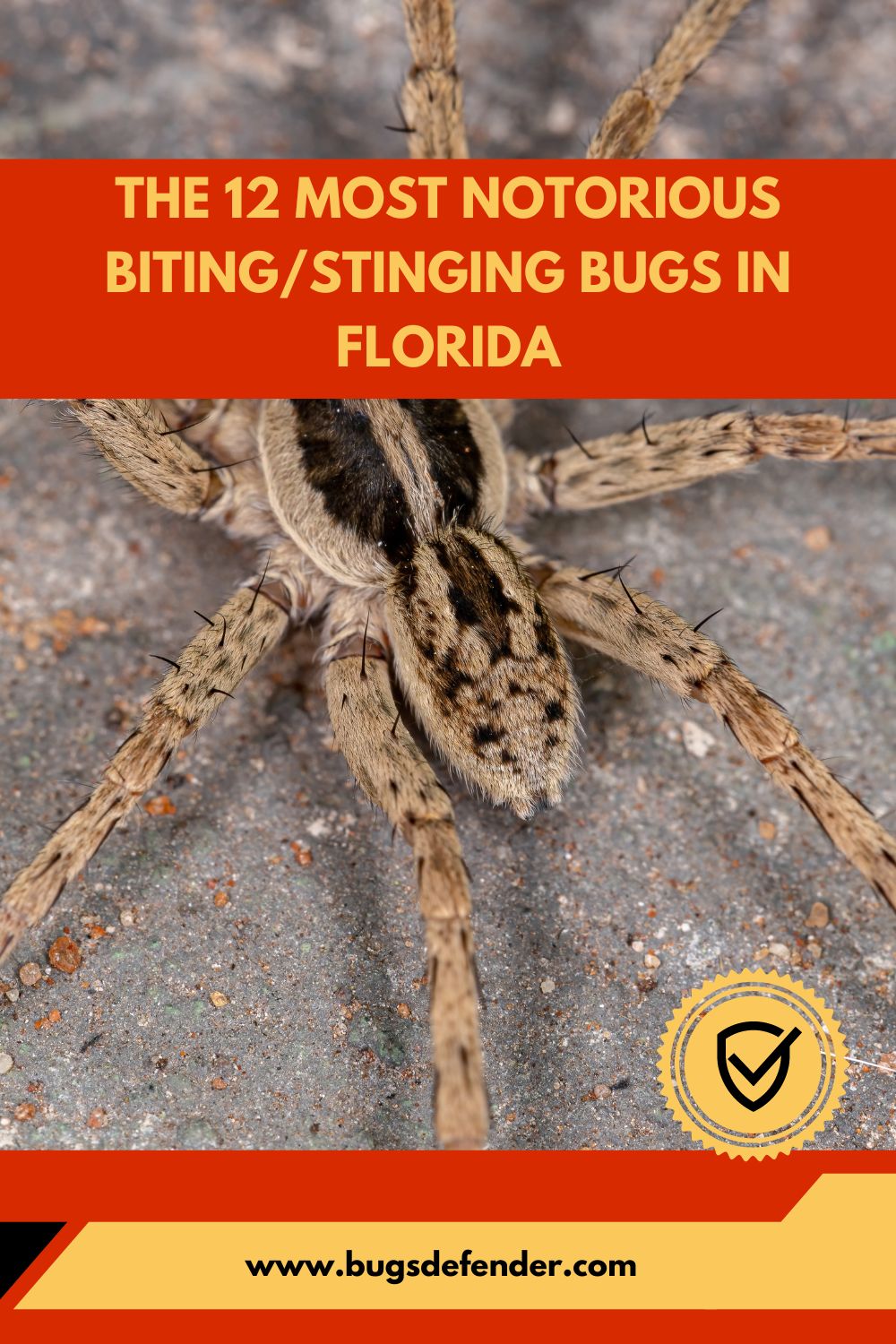 The 12 Most Notorious Biting:Stinging Bugs In Florida pin1