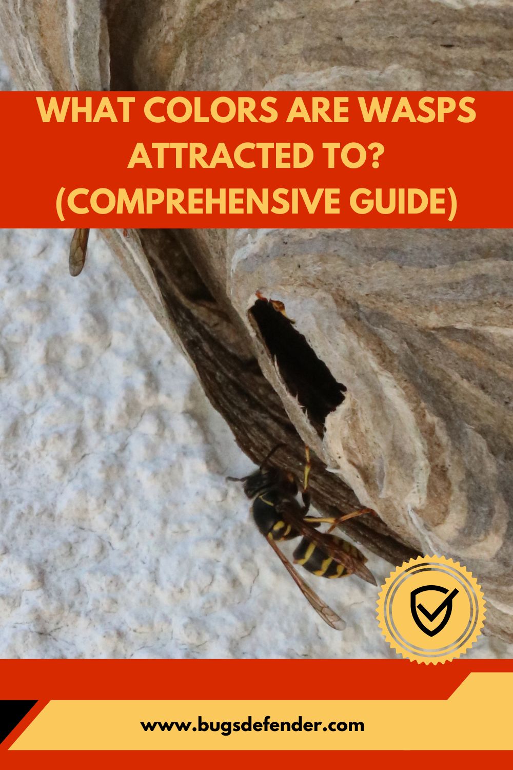 What Colors Are Wasps Attracted To? (Comprehensive Guide) pin1